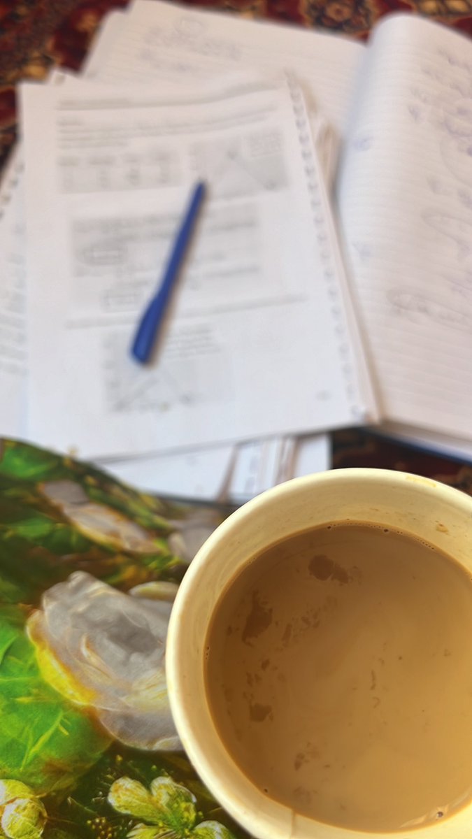 المحارب لازال مصرا على الاستمرار فالحرب✨