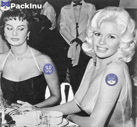 mememastershbar's tweet photo. @SaucyPeep_ @hashpack #PACKINU https://t.co/F6cqrtbIAz