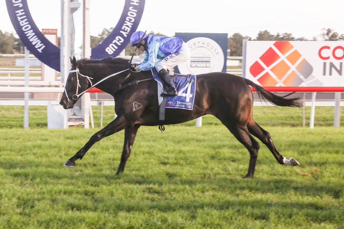 Trainer 'Thinks' his galloper can turn around TAB Highway flop at Rosehill (Sat): 'Digger got off him and said he went enormous, wants further get him back for a Highway - we’re only just starting to see his best' - shorturl.at/dgkkw