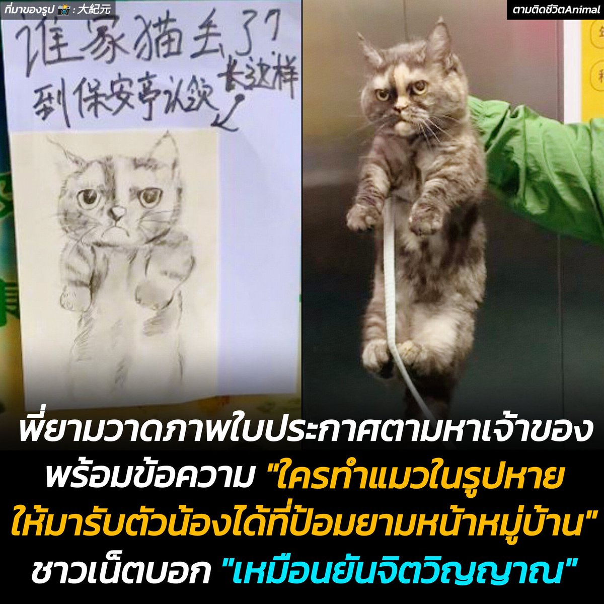 ตามติดชีวิตAnimal tweet media