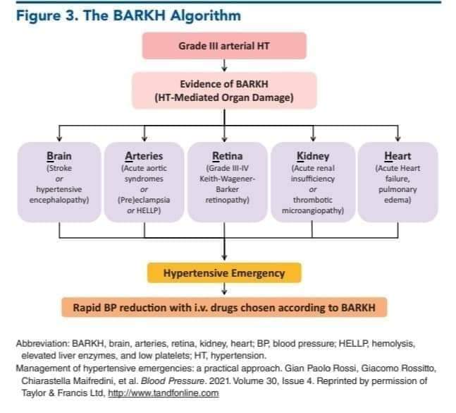 ▪️
▪️
▪️
A🧵 on management of hypertensive emergencies.

The 𝗕𝗔𝗥𝗞𝗛 algorithm for management of hypertensive emergencies and end-organ damage

𝗕 - Brain
𝗔 - Arteries
𝗥 - Retina
𝗞 - Kidney
𝗛 - Heart

#MedTwitter #MedEd #MedX

Read on 👇 for BP Lowering rate and goals.