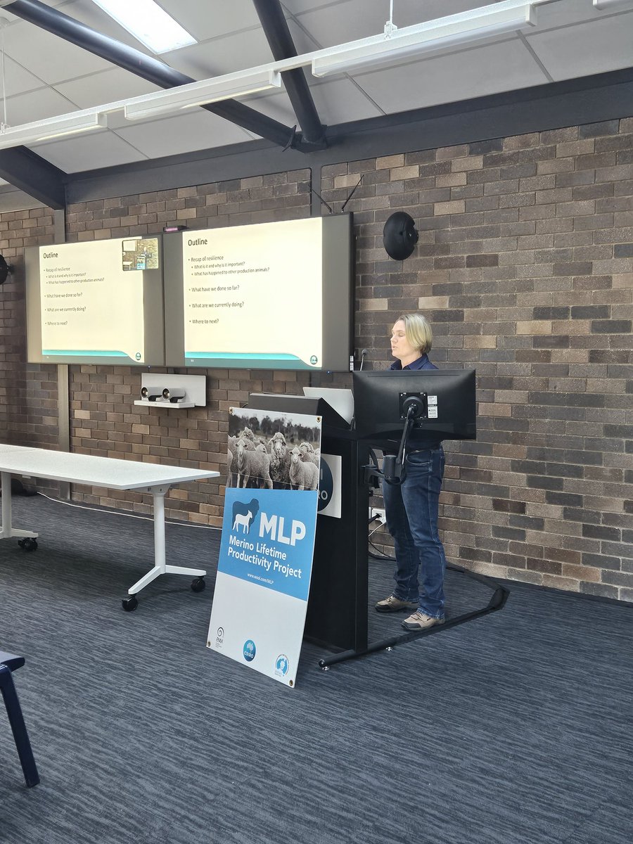 Amy Bell sharing work that is looking at methods to assess immune competence.

Lots of variation in immune competence in the #MLPProject F1 wethers.

Some favourable &amp; unfavourable relationships with production traits.