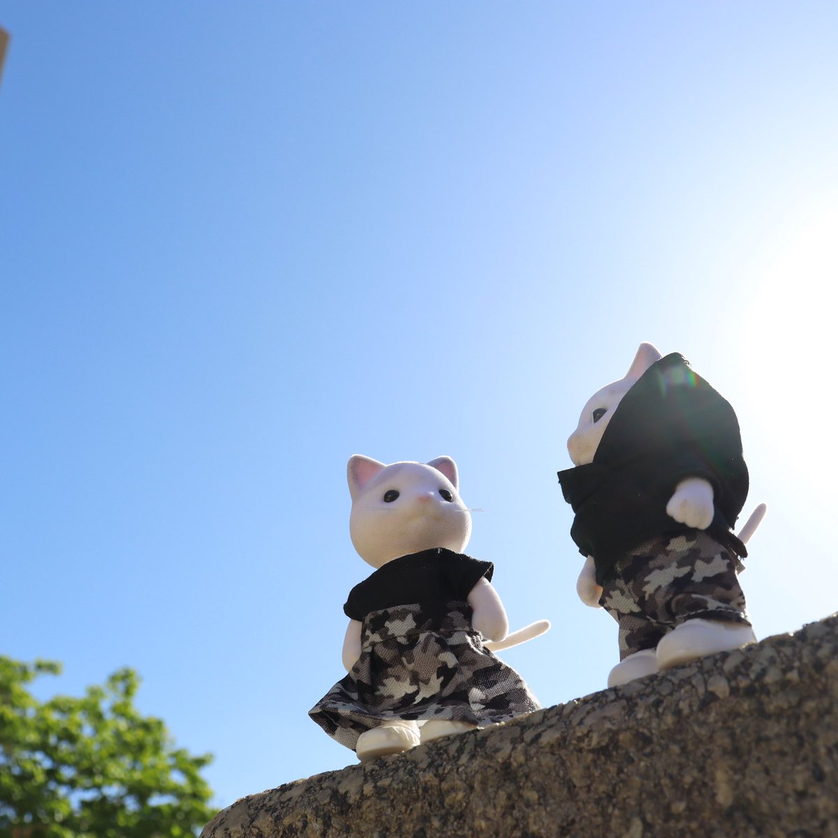 #ファミリーポートレート
#familyportrait
#シルバニア
#シルバニアファミリー
#sylvanianfamilies
#シル活