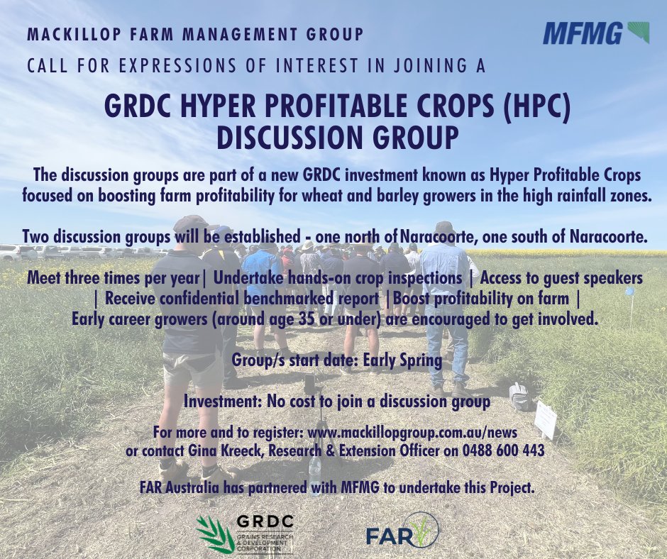 MacKillopGroup's tweet image. Consider joining a GRDC HPC Discussion Group, aimed at boosting profitability for wheat/barley crops.  An exciting opportunity for early career growers (age 35 or under) for professional development and networks. forms.office.com/r/3fCFcGQgTV
#MFMG #AgExtension @far_australia @theGRDC