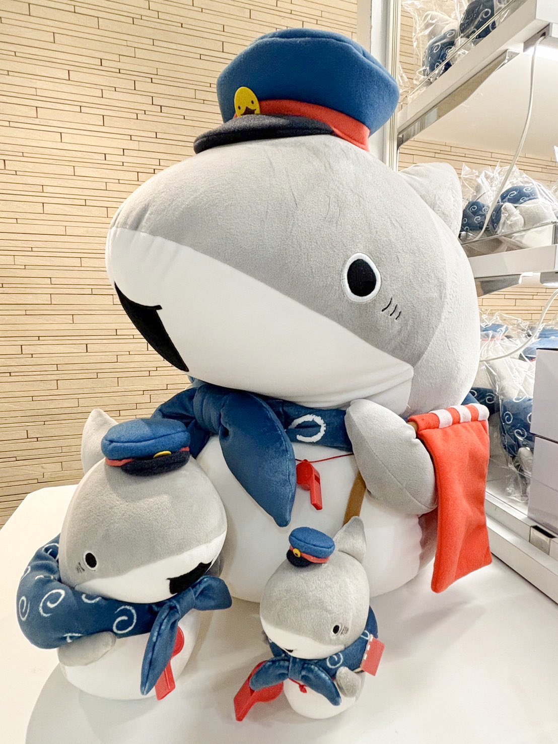 ぽっぷこーんミュージアム 雪子先生 サメジャケット ポスカ付き アイテム,ジャケット | ぽっぷこーんミュージアム