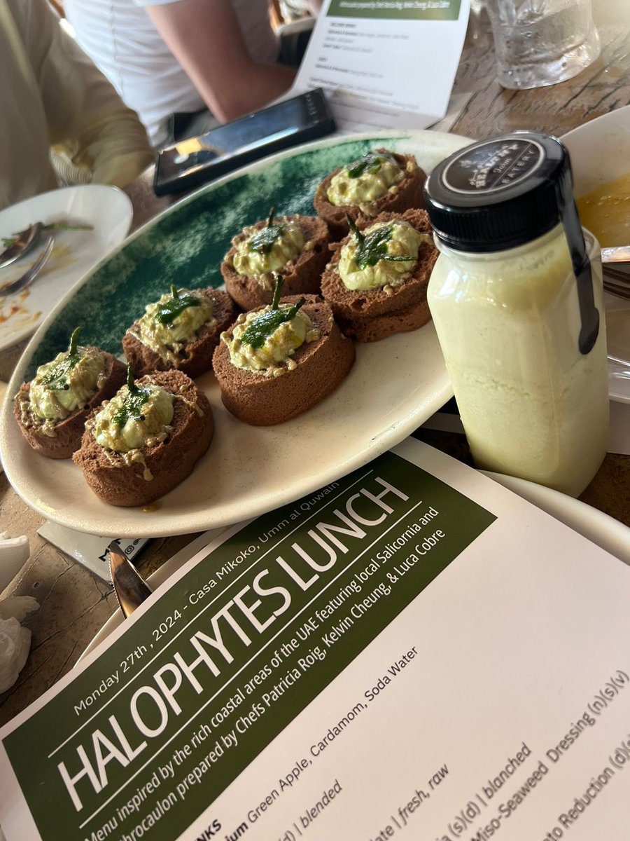 Dr. Charbel Tarraf, Chief Operations and Development at #ICBAAgriculture, participated in a special event in Umm Al Quwain dedicated to exploring the potential of native halophytes for food security, economic prosperity, and environmental sustainability.