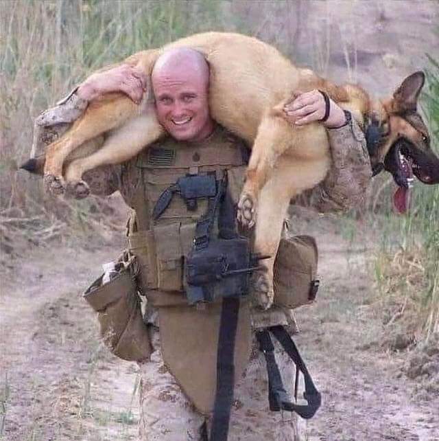 This soldier carried his best friend 13 kilometers because the ground was so hot it burned his paws ❤🙏 Respect and Bravo to him 👏👏