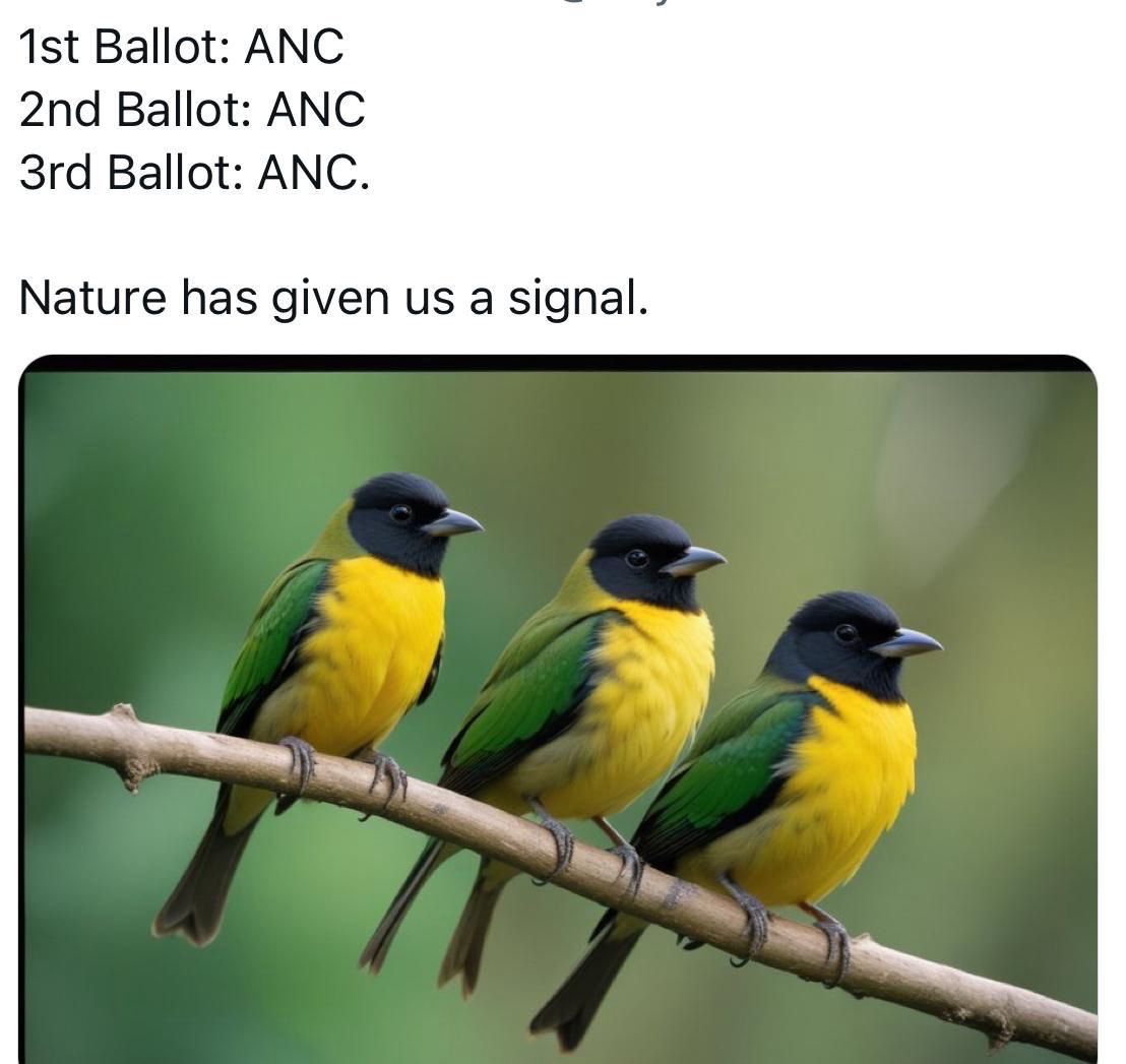 #IamVotingANC