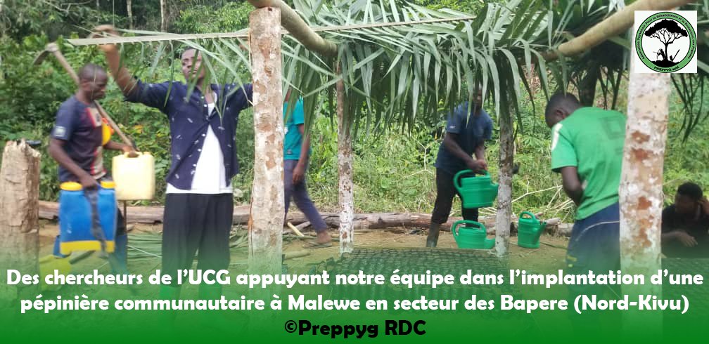 En une semaine, nos équipes accompagnées d chercheurs et étudiants en agronomie d l'UCG, ont sensibilisé des habitants de plus d 4 villages de la CFCL Bamasobha sur l'agroforesterie et l reboisement. Environ 20 pépiniéristes communautaires formés et 3 pépinières installées <a href="/RFUK/">RainforestFoundation</a>