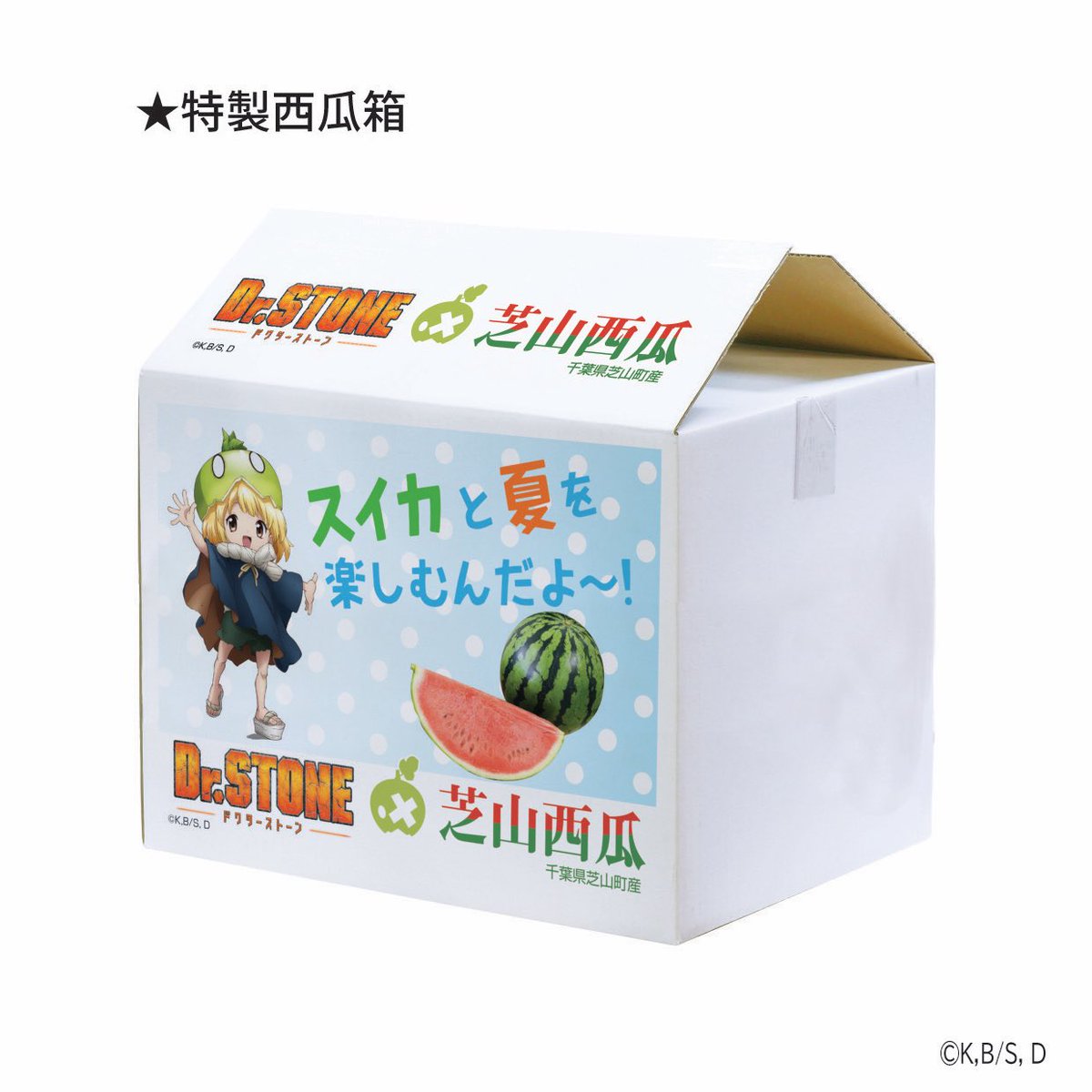 🌻商品情報🌻 ／ #DrSTONE × #芝山西瓜 コラボ商品 申込受付開始
