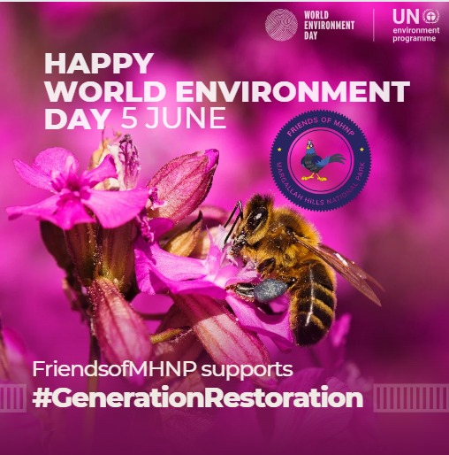 Better Environment, Better Tomorrow. Save the planet Earth

#SaveMHNP  #WorldEnvironmentDay2024 #GenerationtRestoration
#FoMHNP