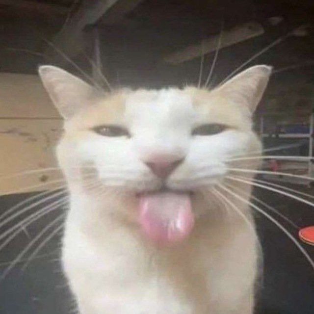 Lwebo2's tweet photo. @ElAlacrancillo_ Solo a uno? Que quiten todos excepto a Dead Cells y yo feliz, muajajajaja https://t.co/XeMlIaUL4s
