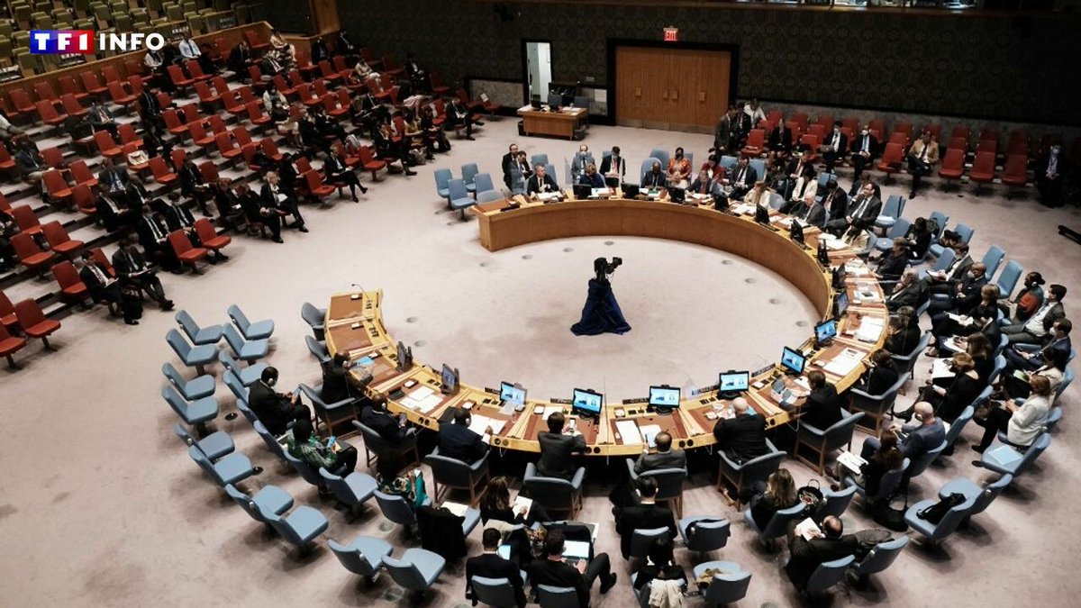 EN DIRECT - Guerre à Gaza : l'Algérie prépare une résolution au Conseil de sécurité "pour arrêter le massacre à Rafah"
➡️ l.tf1info.fr/O6g