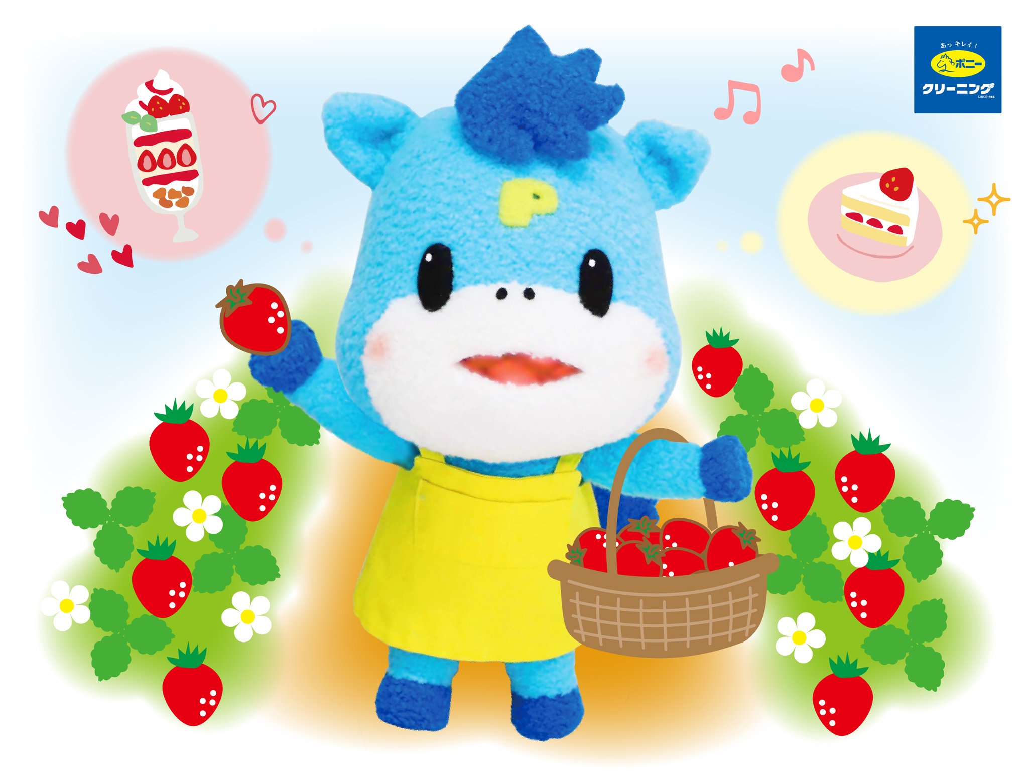 ポニークリーニング ぬいぐるみポニ太 ポニークリーニング公式オンラインストア | グッズ一覧 | ポニ太
