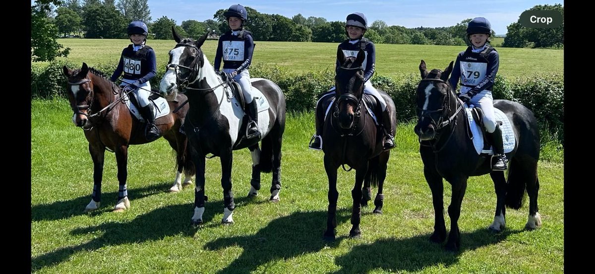 In a thrilling display of equestrian talent, Queen Mary’s School riders showcased their technical skills and team spirit at Hickstead this weekend. Congratulations! Read the full story on the Queen Mary's website: buff.ly/4bYax7s 

#QMarysRiding