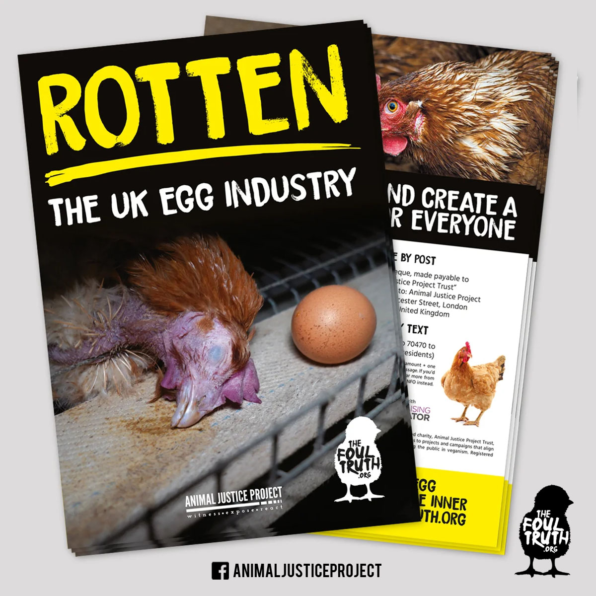 Do you know the truth about the UK egg industry? 🥚 Our #Rotten A5 fold-out leaflets reveal the hidden suffering of egg-laying hens in all types of farms 😢 Order your leaflets today and help us expose the rotten egg industry! animaljusticeproject.com/product/rotten… #TheFoulTruth #eggs