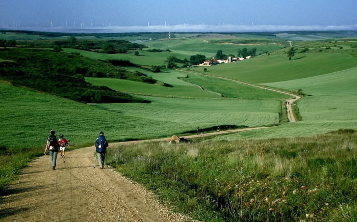 How long does #CaminodeSantiago walk? How many kilometers / miles does the Camino de Santiago have? Does it have stages to cover? How many days are needed? We give you some information so that you can plan your Jacobean Route. elcaminoconcorreos.com/en/blog/how-lo…