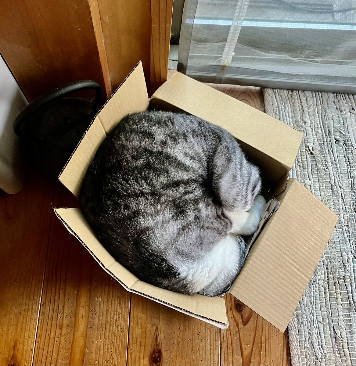 bro can change the size of cardboard boxes.