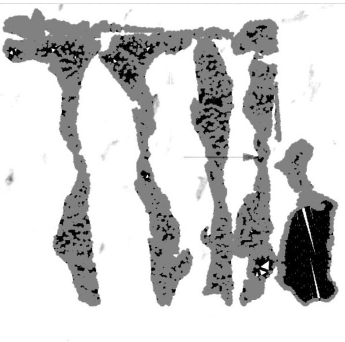 Lydia Smith tweet media