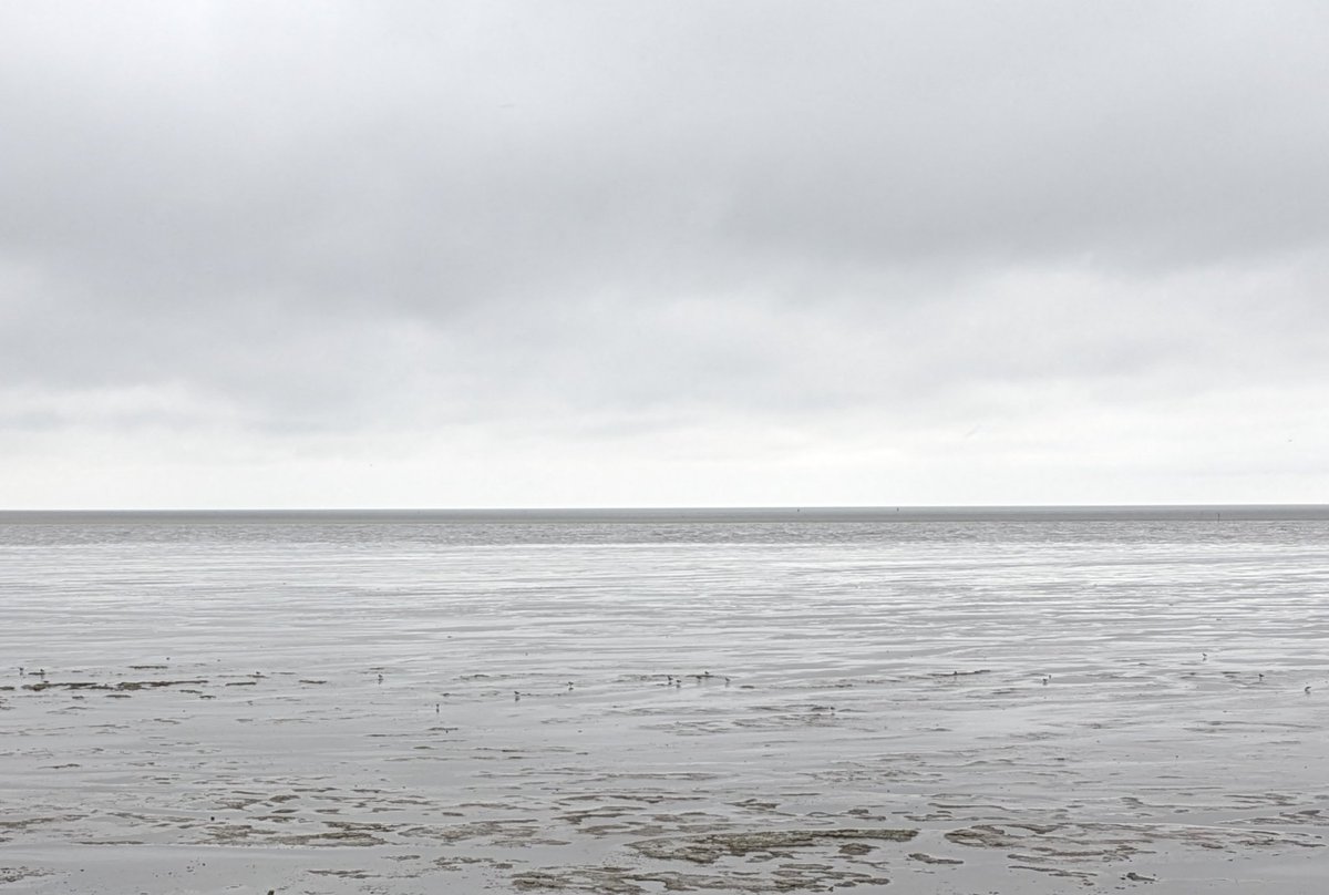 Als we nou net doen of dit n zwartwit foto is dan is t eigenlijk heel mooi weer vandaag bij de #Waddenzee 🤭
🌬️🌊💙🩵🤍🩶