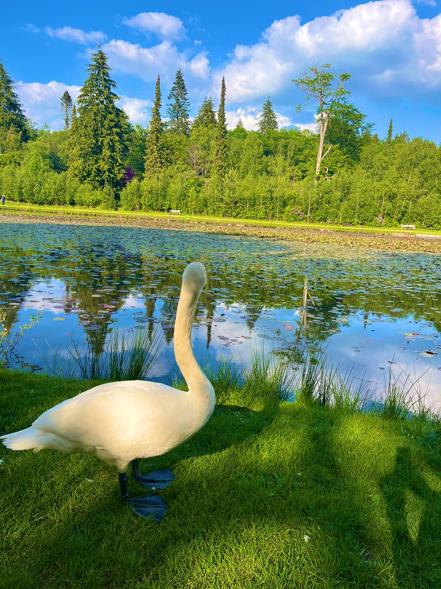 It’s been 5 days since I left the tranquility of <a href="/CumberlandLodge/">Cumberland Lodge</a> #DLHE24 
 <a href="/asmeofficial/">Association for the Study of Medical Education</a>. I’m acutely aware that the conversations have stopped, but the  reflections keep on rolling, a day hasn’t passed without thinking of our teachings and I’m not sure it will, or I want it to.