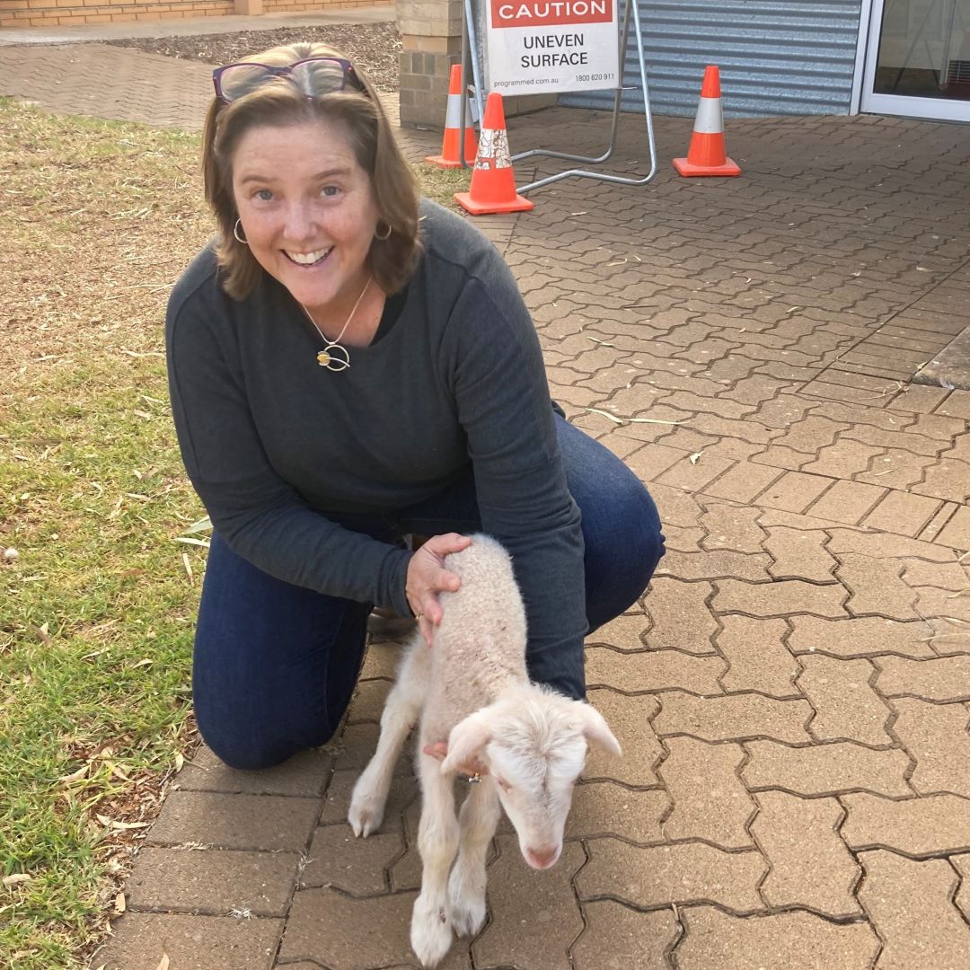 The hub's Rachel May spoke to ABC's @SelinaGreen5290 on dry seeding & farm decision-making. 
With @Ag_Excellence, Rachel leads Derisking the seeding program (funded by @DAFFgov) & works on RiskWi$e, @theGRDC decision-making initiative.
Listen from 14:07:
abc.net.au/listen/program…