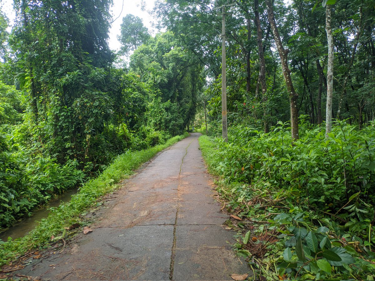 SujithDifferent's tweet photo. Finding peace in the quiet embrace of nature.
Took with my old friend #realme8 #realme
@realmeIndia @realmeglobal
@ChaseXu_ https://t.co/xhrTq0v9bV