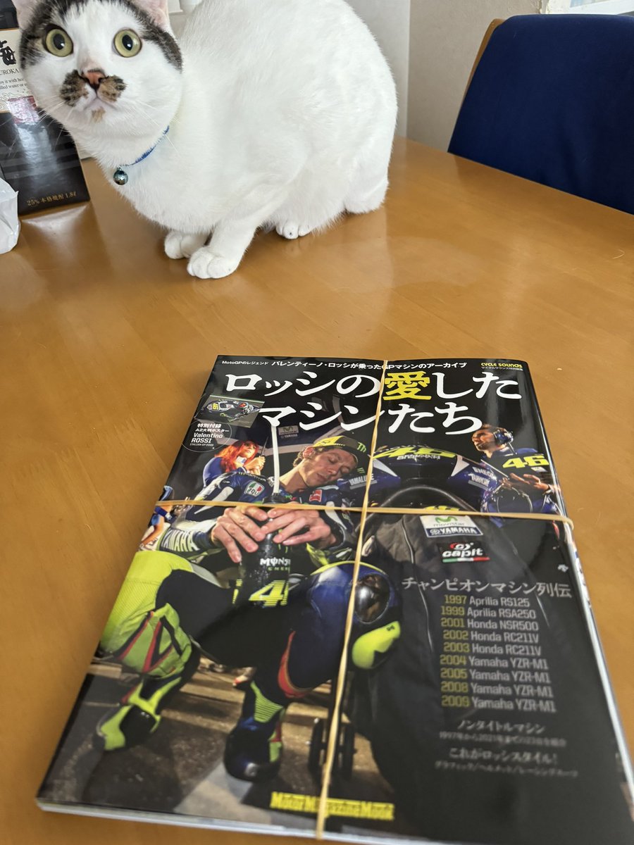 ManGenesis46's tweet photo. ๅฑใใใใ
#ใญใใทใฎๆใใใใทใณใใก
#ForzaVale
#ForzaVale46
#motogp_jp https://t.co/nl21w4lV7E