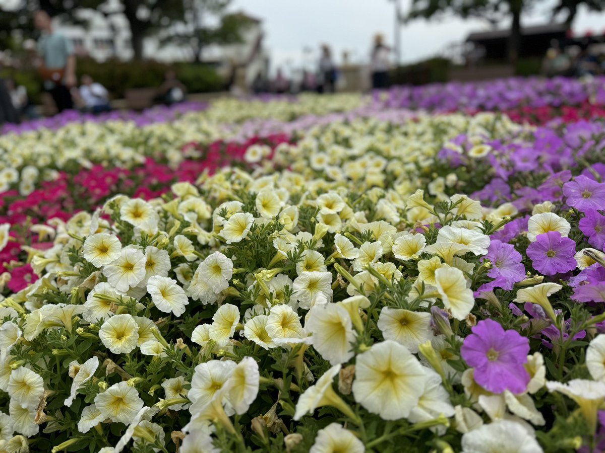 amairo_z's tweet photo. DisneyでDisneyっぽくない写真撮る選手権 https://t.co/QpiVTMiubc