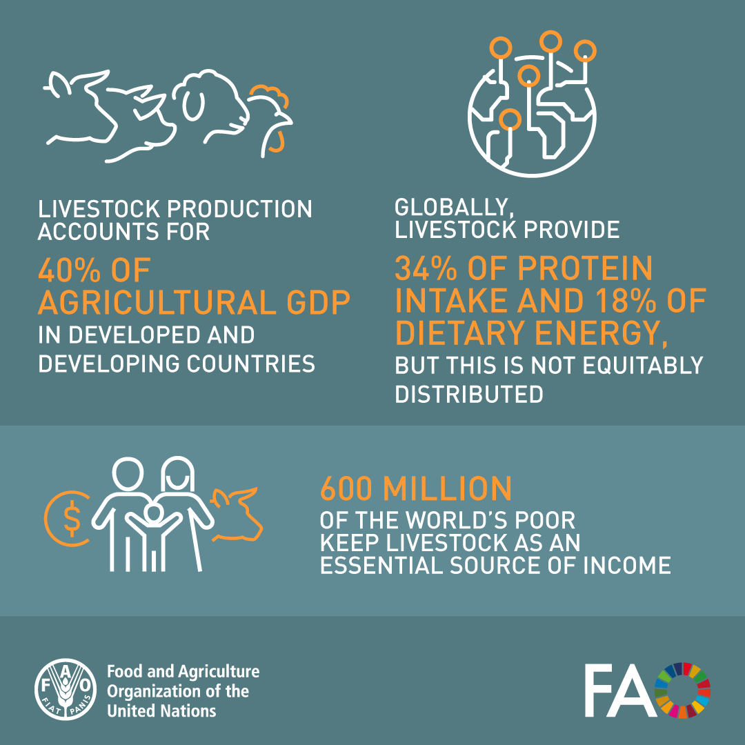 How can we increase investments in pastoralism? 🐄 By generating evidence through LSIPT, we can create robust strategies and prioritize investments to support pastoral communities in the Sahel. Read more about LSIPT👉 bit.ly/3VkITdH