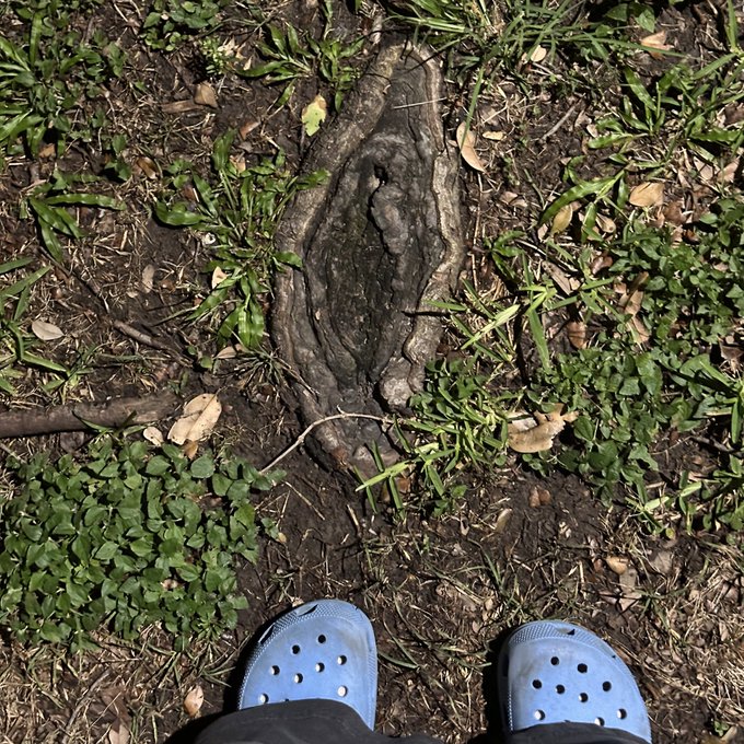 Nature is so beautiful https://t.co/XkNQED8Qlo<a href="/tag/otktopstreamer"class="tags"><span>#otktopstreamer</span></a>