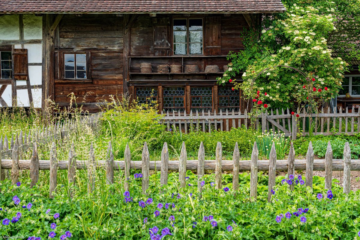 Ideal eines Bauerngartens am Bohlenständerhaus in Amriswil #bodensee #thurgau #GardenersWorld #jardinmehr Bodensee: tinyurl.com/m9xaya4r