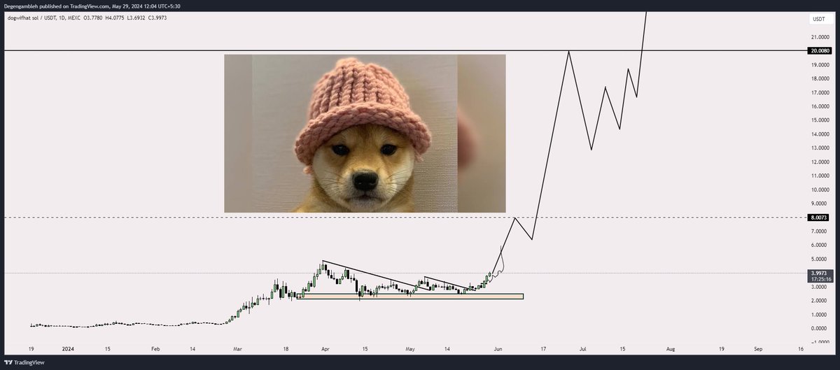 Gun to my head

"What's the future look like for $WIF "

$20 - next major stop

No major pullbacks until then.

Not having a hat will feel like a sin