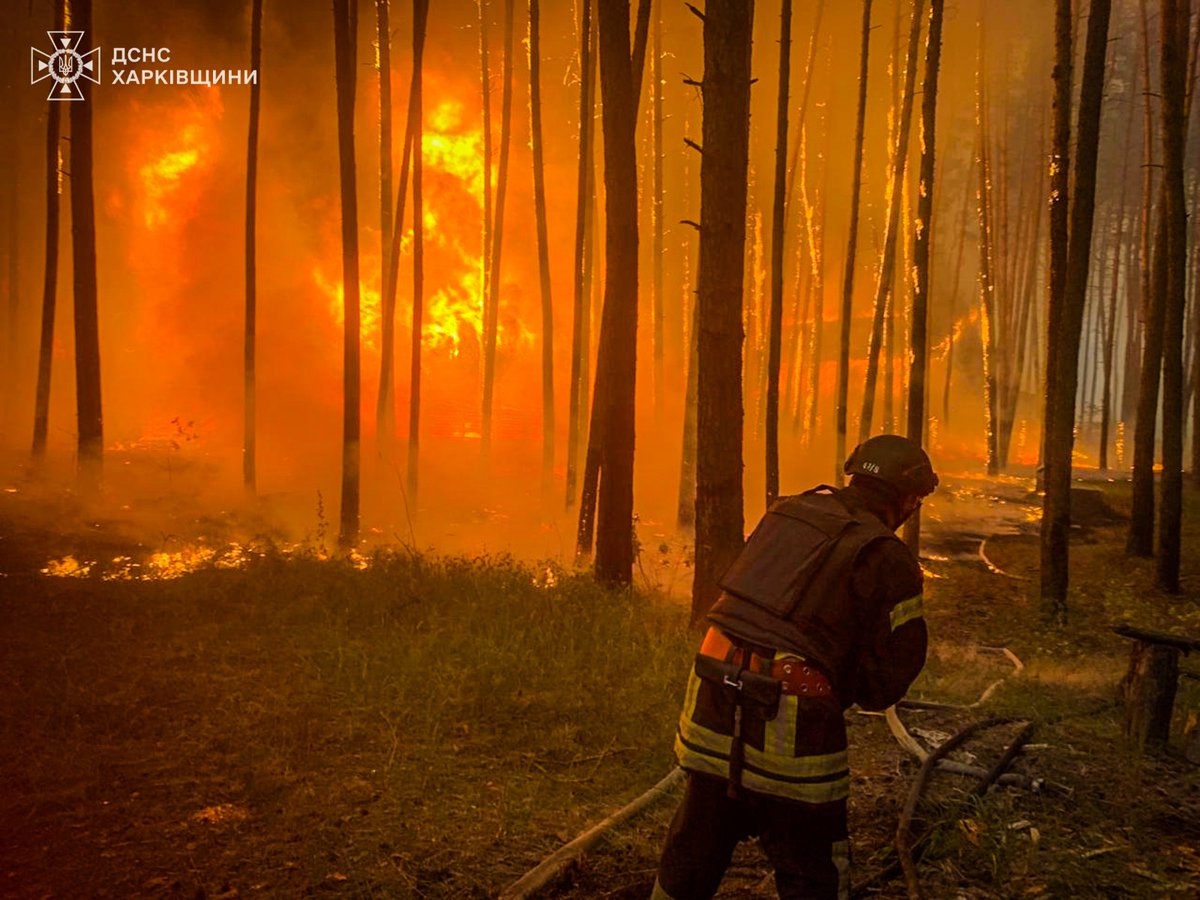 Ворожий удар по Вовчанській громаді на Харківщині спричинив масштабну пожежу площею понад 15 га. Загорівся ліс і приватний сектор. Знищено десятки житлових і господарчих будівель. Вогнеборці запобігли розповсюдженню пожежі, 64 будівлі залишилися неушкодженими.