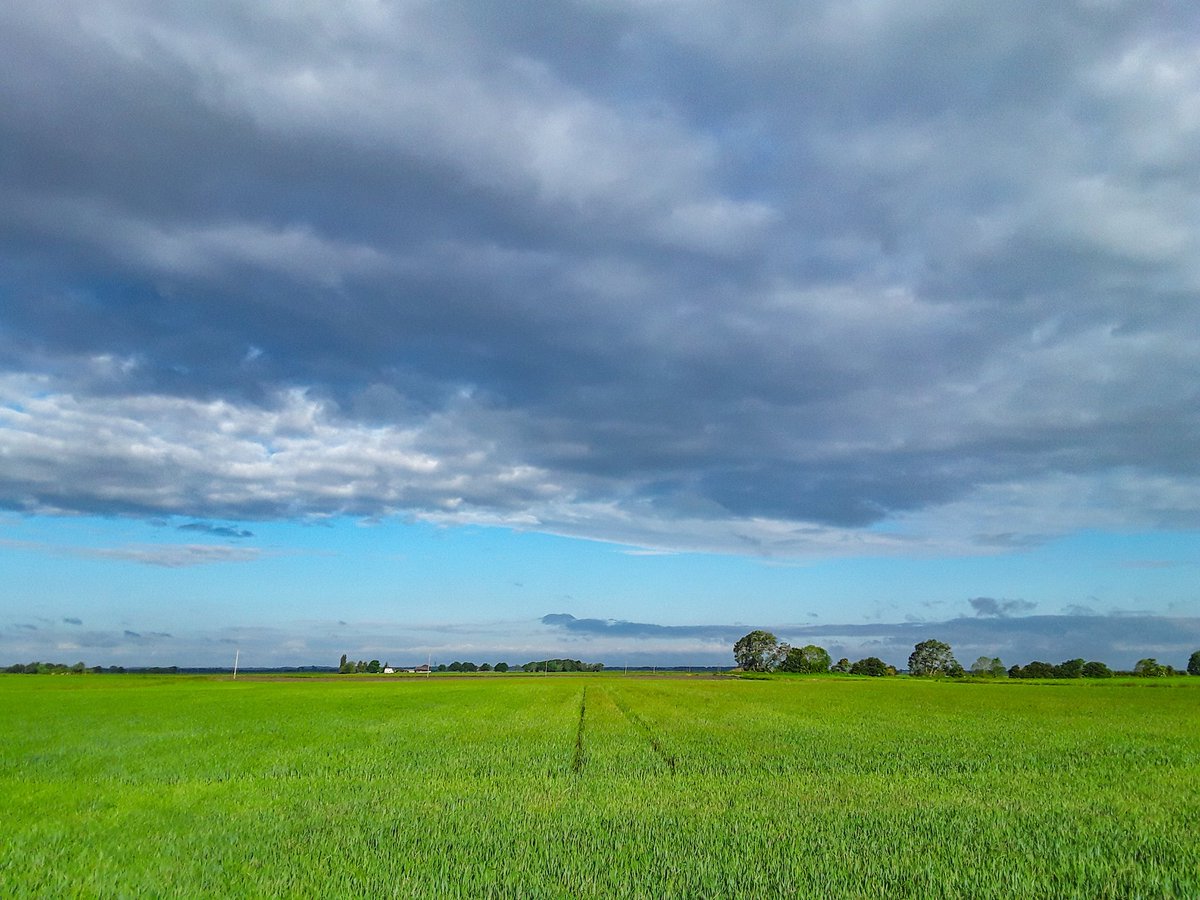 A fresh breeze over the Fens this morning @WeatherAisling @ChrisPage90 @itvanglia #LoveUKWeather