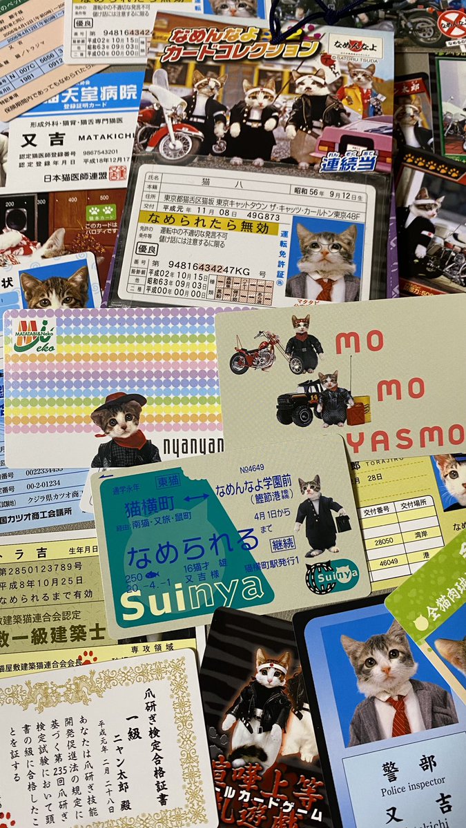 なめ猫カードシリーズ、免許証はもちろん、Suica、PASMO、nanaco風のカードもあるよ🤭
すーぱーレトロEXPOに持っていくよ➰🐈‍⬛

#すーぱーレトロEXPO