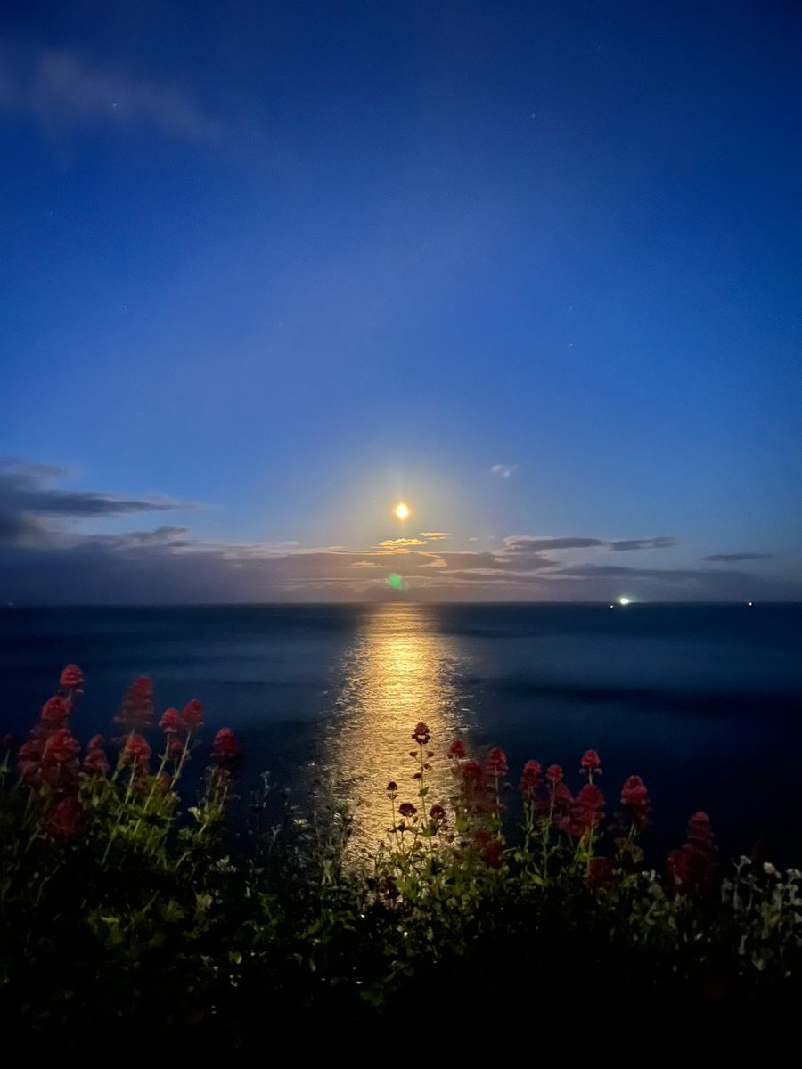 bizzistationery's tweet photo. Killiney, Dublin at 3.15 am today. 🥰 https://t.co/X8nUYRHw6s