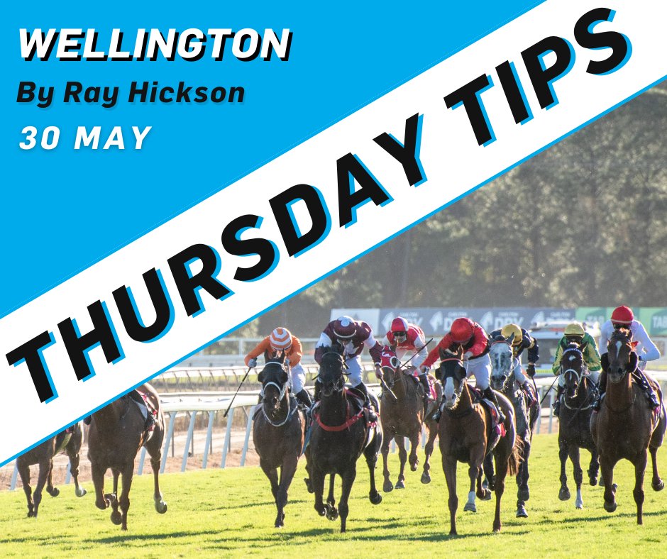 Wellington hosts a SEVEN race program on Thursday, take a look at @ray_hickson's tips and preview for the meeting. Best bets in races six & seven. 👇 READ: tinyurl.com/5ecx45a3