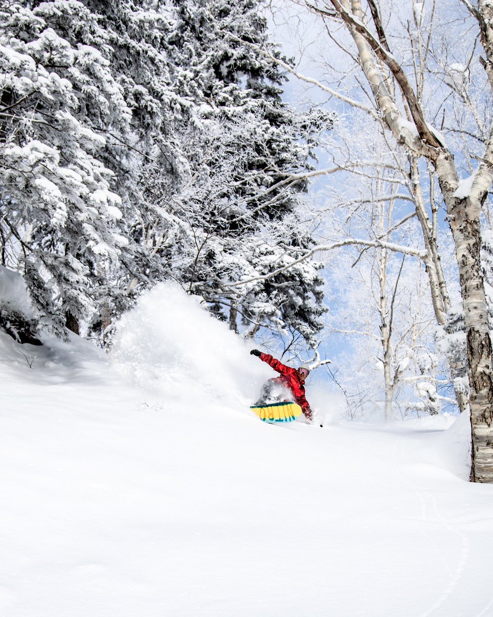 Asahikawa Freeride Tours for 2025 are now ready to book 🎌
