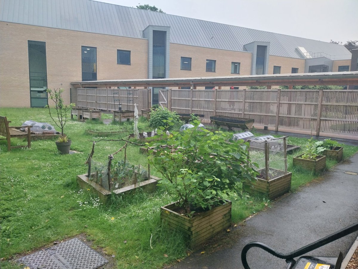 Despite the rain, the #allotment group still had a fun and productive last session with the welcome addition of homemade #bananabread and #granolabars to our #teabreak 😋 we also planted #peas and #courgettes @CrippsWellbeing @NottinghamCVS #GreenSpace @UNHS_Cripps