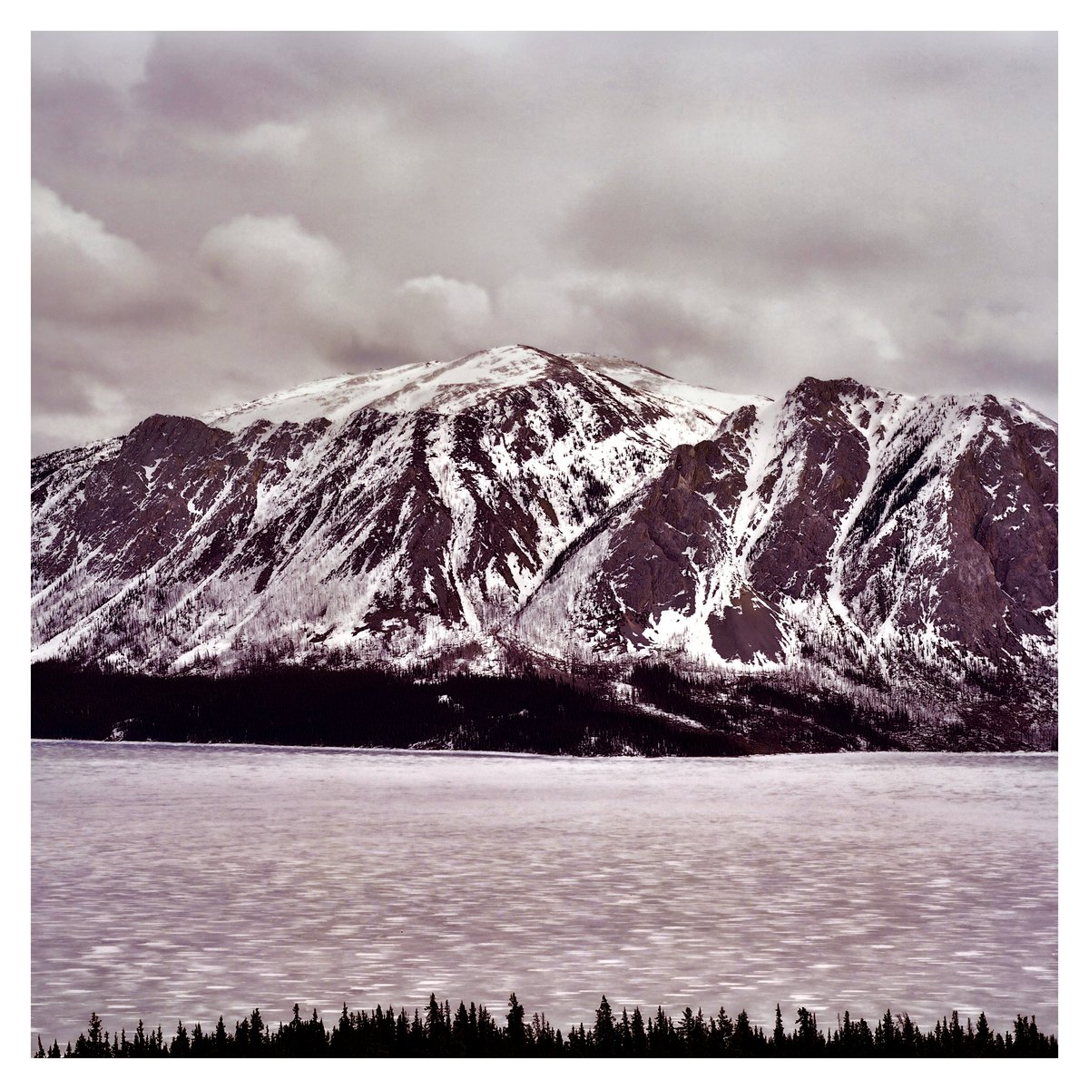 Some say the end is near 

Hasselblad 500CM
Zeiss Sonnar 150mm f4
Aerocolor 2460
Windy Arm, The Yukon
#believeinfilm
#filmphotography