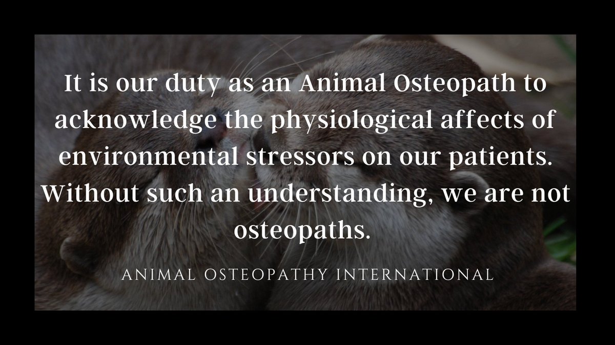 Many therapists claim to understand osteopathic medicine yet still follow a simple musculoskeletal protocol. Osteopaths understand that health comes from within and can only be treated effectively when we fully understand the whole. #osteopathy