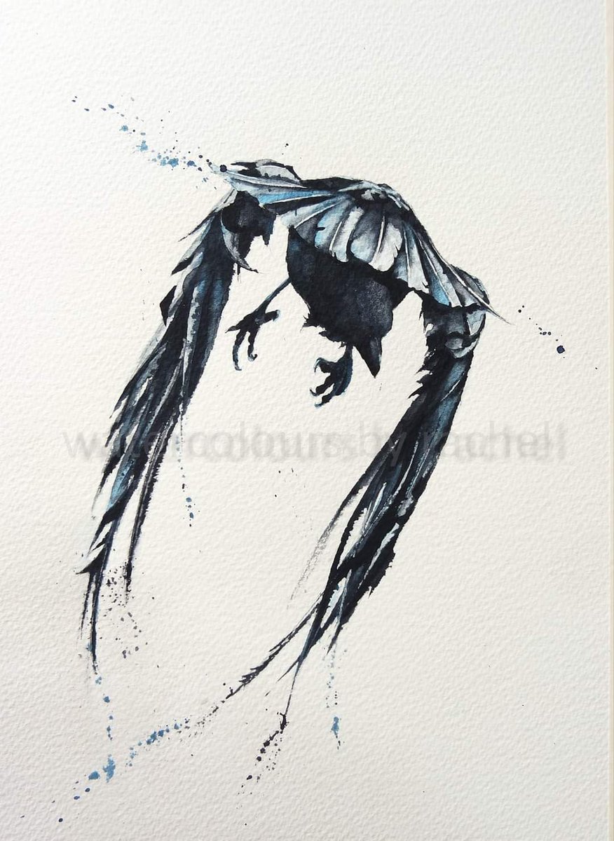 Elidanza's tweet photo. 'As the crow flies'

Happy Wednesday x

#watercolour #bird #flight #watercolourpainting #crow #paynesgrey #movement #wings #painting #wildlife #wildlifeartist #paint #art #inspiration #artist #feathers https://t.co/tiAkgK47EE