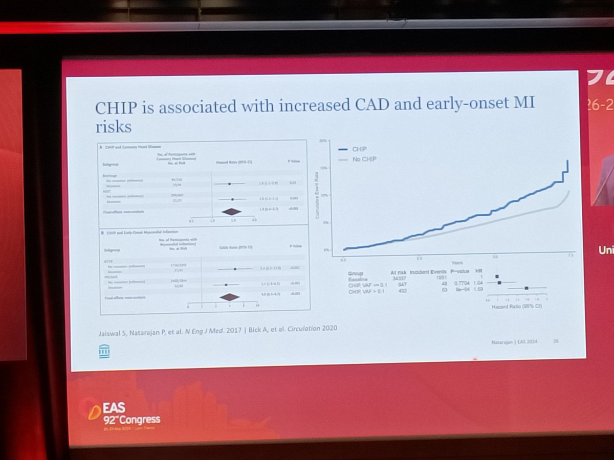#clonal #hematopoiesis  of #indeterminate #potential (#CHIP) associates with a higher risk for #CAD and #MI early in life!
#EASCongress2024
@EASCongress @society_eas