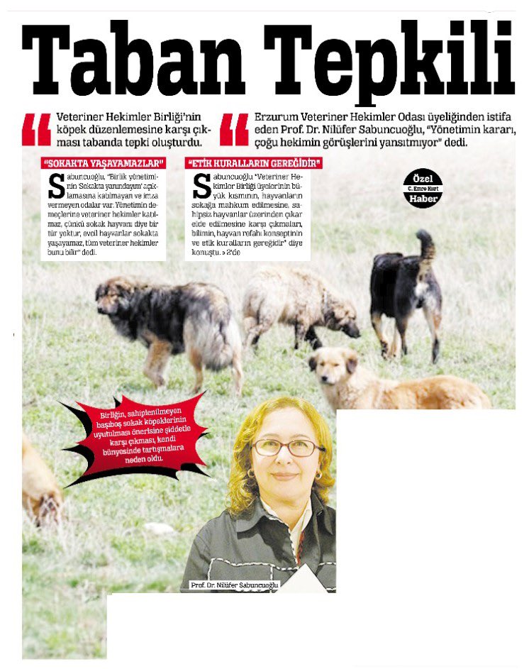 Sokakta #Başıboşköpekolmaz
Sokakta yanındayım diyen bir Veteriner Hekim olamaz !!! 

Ortaokul-Lise biyoloji ders konusudur: 

EVcil hayvanlar binlerce yıldır, tamamıyla insan kontrolü altındadır, insanın yaptığı EVde=barınakta yaşar ! 

‘Sokak hayvanı’ ifadesi ve sokak türleri