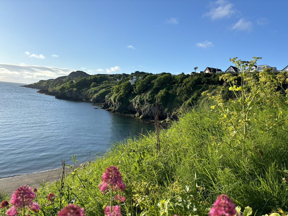 Ah, shure lookit #swimrise 🏊‍♀️☀️💕