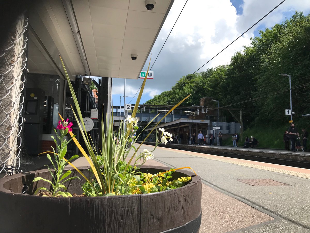 Great to see Billericay station on the Southend line being tended to with a fantastic array of plants. 🌺 
@greateranglia 
@ESSCRP_ 
@CommunityRail