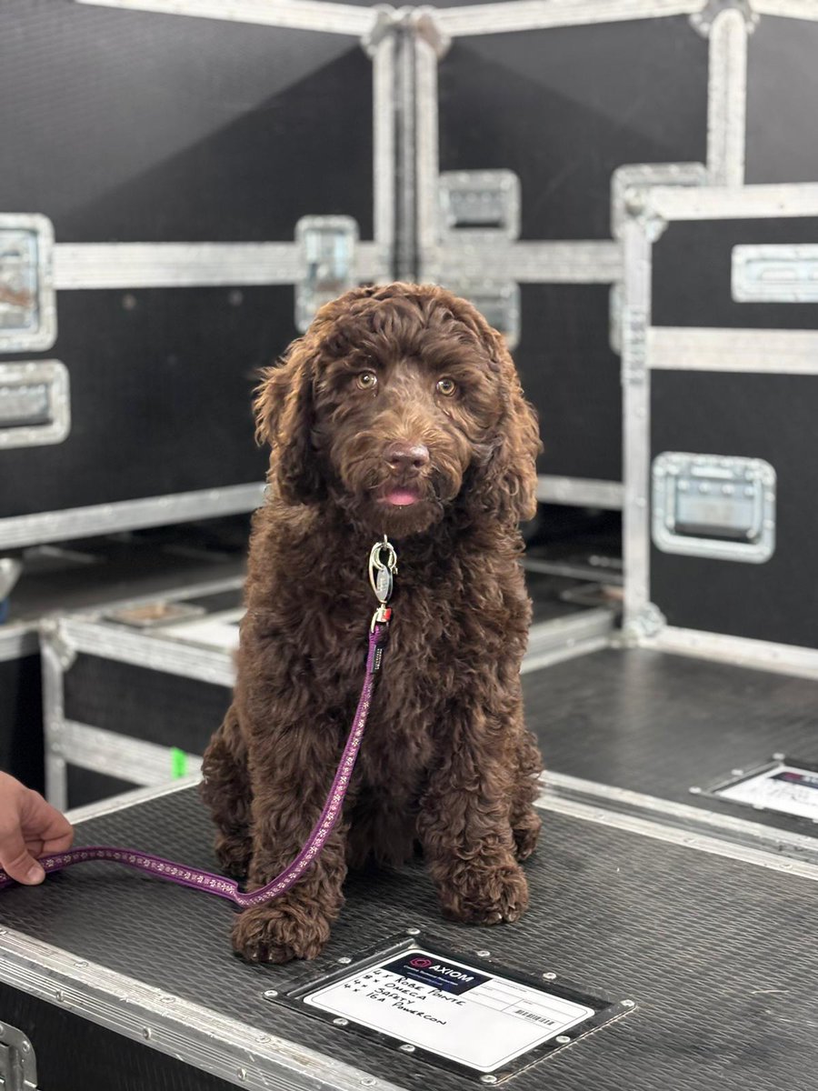 Meet Sadie, Andy's new addition to the Axiom family, getting acquainted with the warehouse.