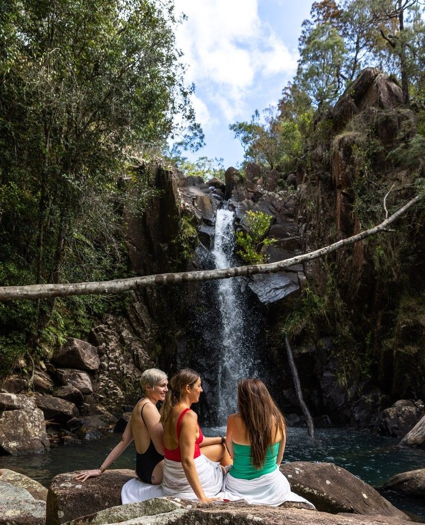 Pedal through paradise on Paluma e-bike tours! 🚴‍♂️🌿

📍 Paluma Range National Park

📷️ @nqcyclejourneys

#hinchinbrookisland #hinchinbrookway #townsvillenorthqueensland #upforunexpected #thisisqueensland #seeaustralia