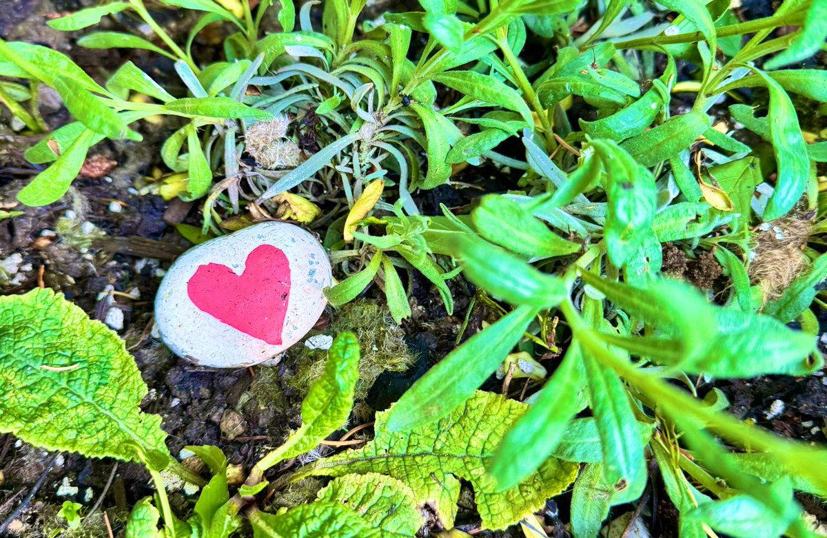 I painted this rock, it’s no Van Gogh(!) but in every sense it’s worth much more. It is in my garden. It’s simple, but says everything I need to know ❤️🤍 #notmyshame